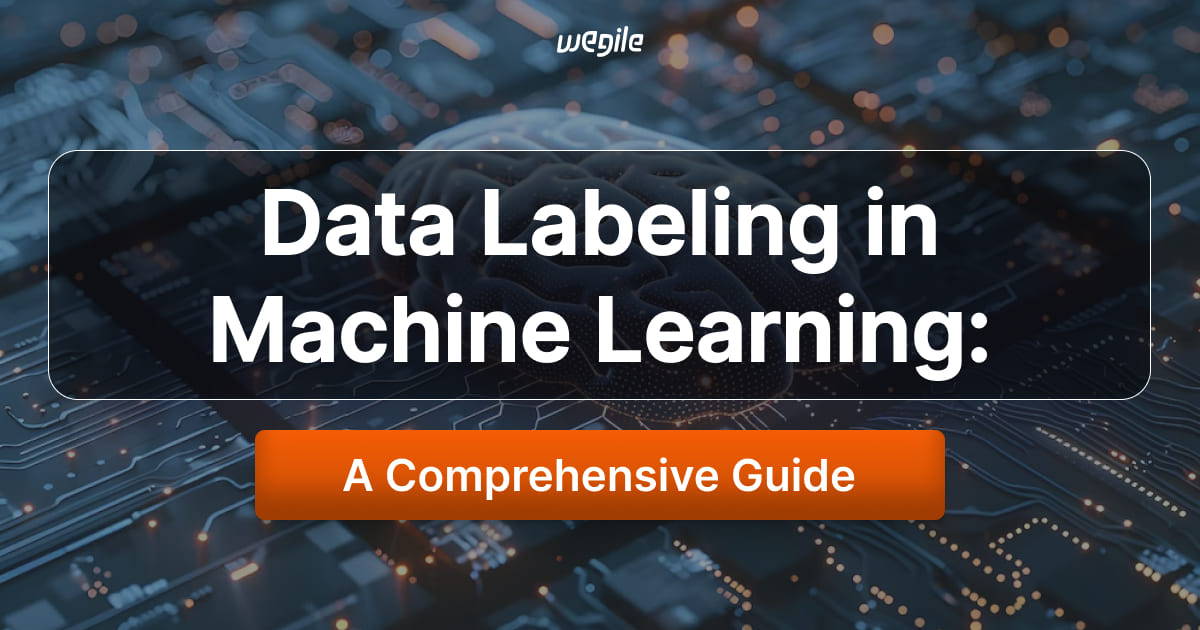 data-labeling-in-machine-learning